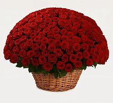 Премиум букет из: Розы в Чесма